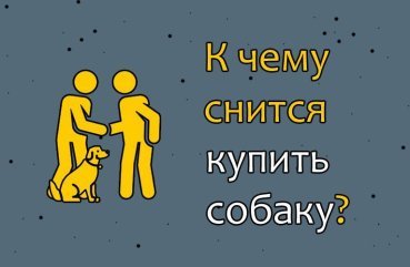Як тлумачити сон, в якому купуєш собаку — 10 значень Як тлумачити сон, в якому купуєш собаку — 10 значень