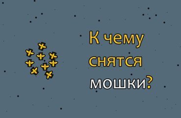 Як тлумачити сон про мошки — 42 точних значення