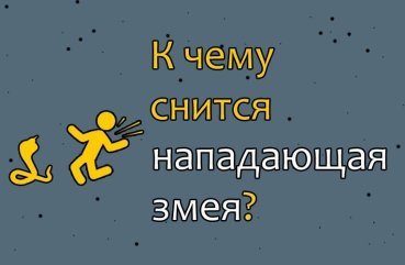 Що означає про змію, яка нападе — значення по 40 сонникам