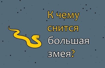 Що означає сон про велику змію — 39 тлумачень