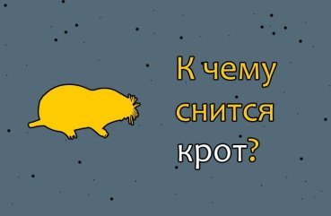 Як розшифрувати сон про крота — 42 докладних значення