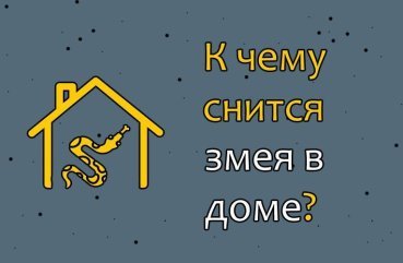 Як розшифрувати сон про змію в домі — 32 значення сну