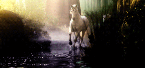 Як тлумачити сон про єдинорога – 40 точних значень