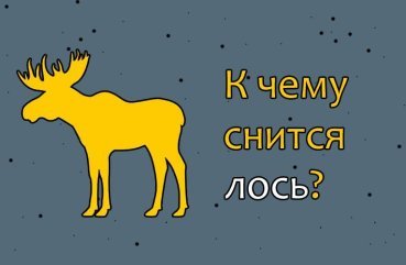 Як трактувати сон про лося — 36 вірних значення по сонникам