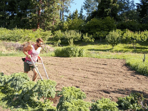 Як розшифрувати сон про зорану землю — 30 значень