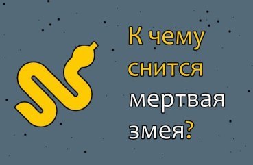 Як тлумачити сон про мертву змію — 40 значень