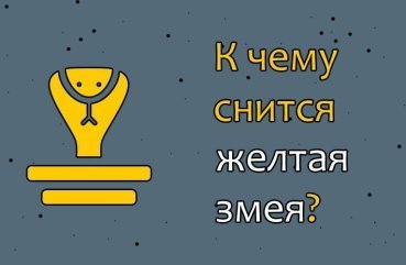 Як розшифрувати сон про жовту змію — 40 значень Як розшифрувати сон про жовту змію — 40 значень