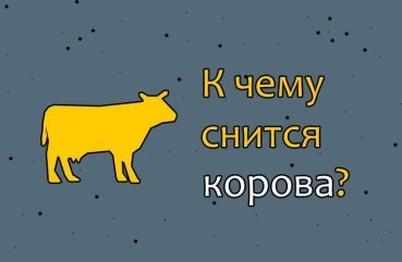 Як розшифрувати сон про корову — 42 значення