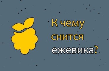 Як трактувати сон про ожину — 36 докладних значень