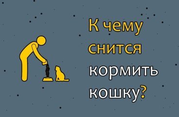 Що означає годувати кішку в сні — 42 вірних значення Що означає годувати кішку в сні — 42 вірних значення
