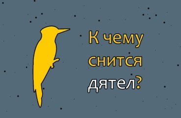 Як трактувати сон про дятл — 10 значень сну Як трактувати сон про дятл — 10 значень сну
