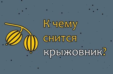 Як трактувати сон про аґрус — 46 докладних значень Як трактувати сон про аґрус — 46 докладних значень