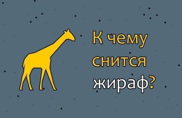 Як розшифрувати сон про жирафа — 42 значення по сонникам