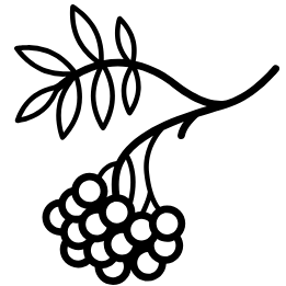 Як трактувати сон про чорну курку — 42 значення