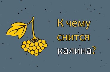 Як інтерпретувати сон про калину — 10 точних значень Як інтерпретувати сон про калину — 10 точних значень