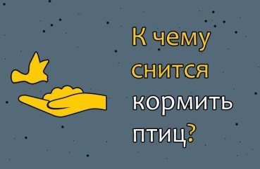 Що означає в сні годувати птахів – 40 значень за різними сонникам