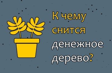 Як розшифрувати сон про грошове дерево — 10 популярних значень Як розшифрувати сон про грошове дерево — 10 популярних значень