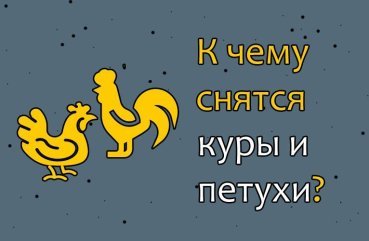 Як розшифрувати сон про курей і півня — 40 точних значень