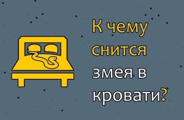 Як розшифрувати сновидіння про змію в ліжку — 40 значень