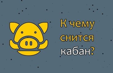 До чого сниться кабан — 35 докладних значення сну До чого сниться кабан — 35 докладних значення сну