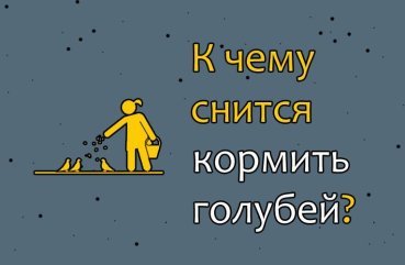 Як трактувати сон, в якому годуєш голубів — 10 значень Як трактувати сон, в якому годуєш голубів — 10 значень