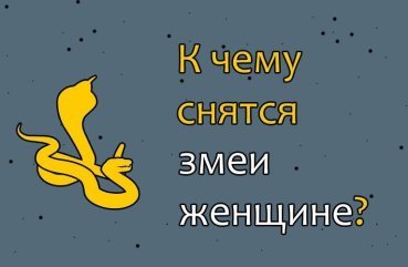 Що означає для жінки бачити у сні змій — ТОП 40 значень