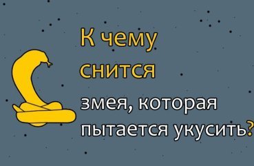 Що означає, коли сниться змія, намагається вкусити — значення сну по соннику 41 Що означає, коли сниться змія, намагається вкусити — значення сну по соннику 41