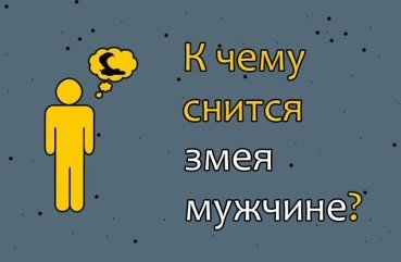 До чого сниться змія чоловікові — 44 значення сну