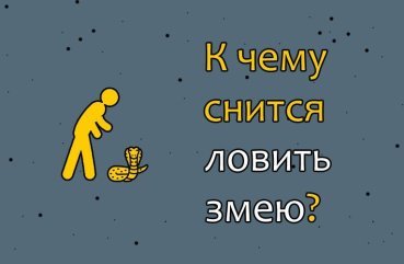 До чого сниться ловити змію — 10 значень сну