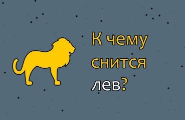 Як тлумачити сон про лева — 42 точних значення