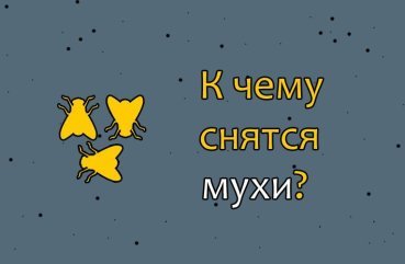 Як розшифрувати сон про мухи — 42 значення