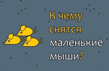 Як тлумачити сон про маленькі миші — 42 популярних значення
