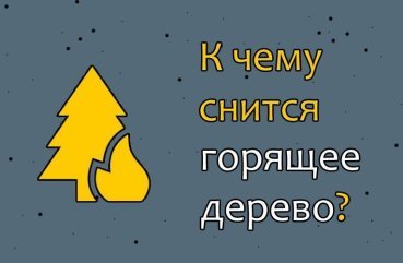 Що означає сон про палаюче дерево — 42 трактування Що означає сон про палаюче дерево — 42 трактування