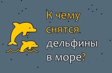 До чого сняться дельфіни в морі — тлумачення сну по соннику 41