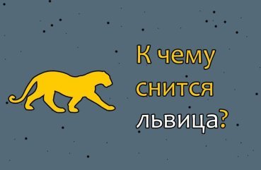 Як розшифрувати сон про левицю — 40 значень