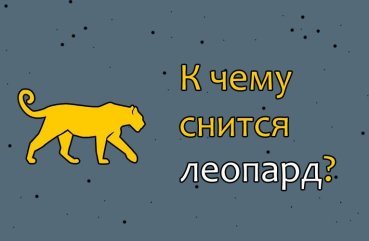 Як тлумачити сон про леопарда – 36 докладних значень Як тлумачити сон про леопарда – 36 докладних значень