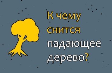 Як трактувати сновидіння про падаюче дерево – 40 значень
