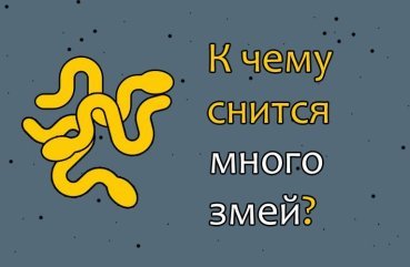 Як тлумачити сон, в якому багато змій — 40 популярних значень Як тлумачити сон, в якому багато змій — 40 популярних значень