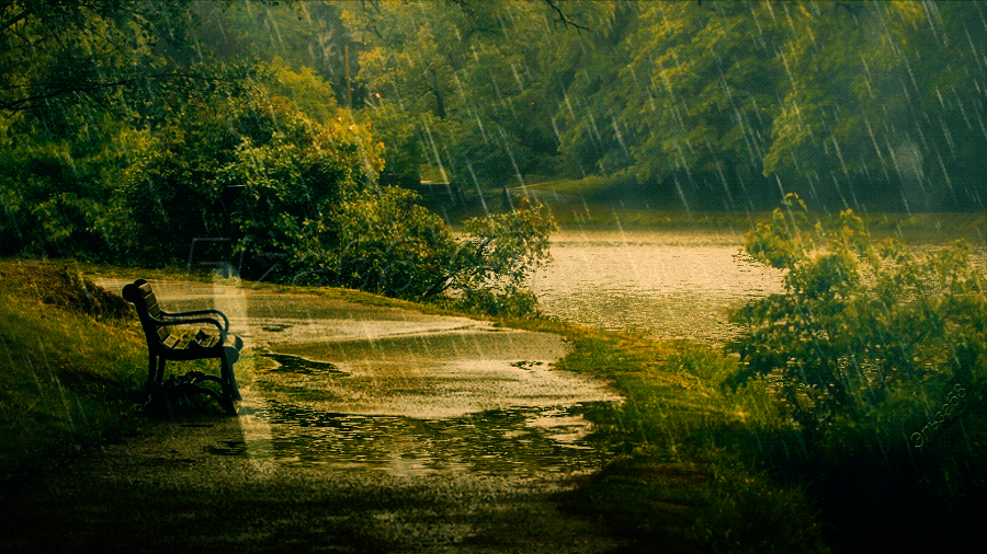 Як інтерпретувати сон про зливу дощ — 36 вірних значення