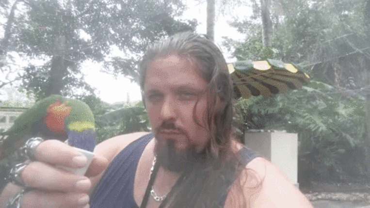 Що означає в сні годувати птахів – 40 значень за різними сонникам