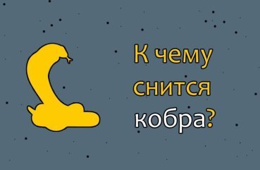 Як розшифрувати сновидіння про кобру — 48 значень