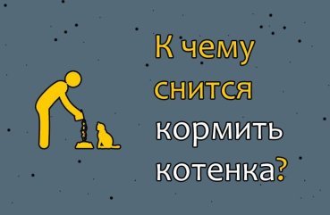 Як тлумачити сон, в якому годуєш кошеня — 42 значення сну