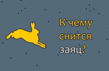Як розшифрувати сон про зайця — 42 точних значення