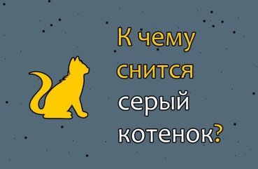 Як тлумачити сон про сіре кошеня — 42 точних значення