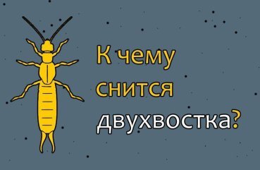 Як тлумачити сновидіння про двухвостку – 37 точних значень по сонникам