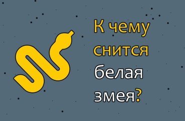 Як тлумачити сон про білу змію — 38 різних значень Як тлумачити сон про білу змію — 38 різних значень