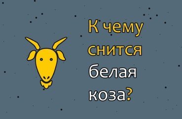 Як трактувати сон про білу козу — тлумачення по 30 сонникам