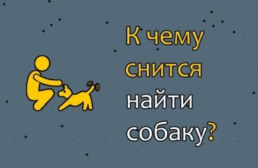 До чого сниться знайти собаку — 10 точних значень сну