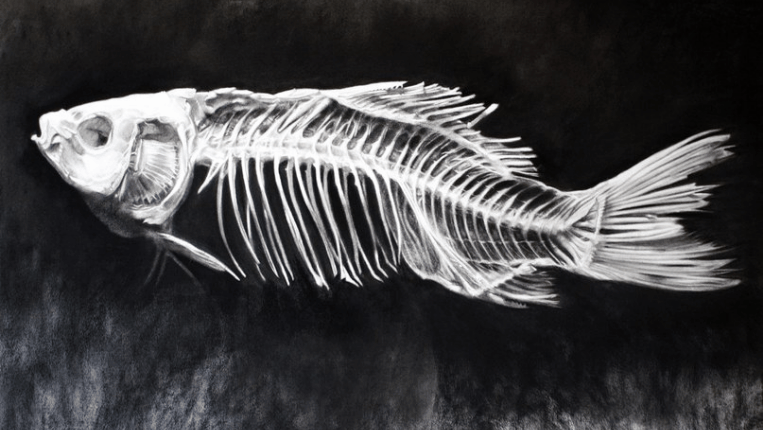 Що означають рибячі кістки у сні — 40 тлумачень