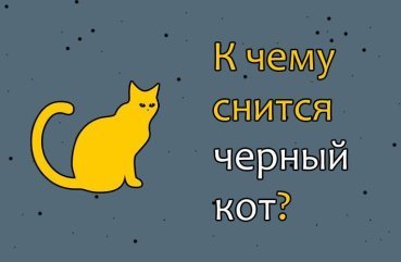 Як розшифрувати сон про чорного кота — 30 точних значень